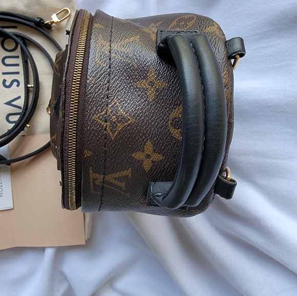 Louis Vuitton Palm Spring Mini Backpack - Picture 3 of 16